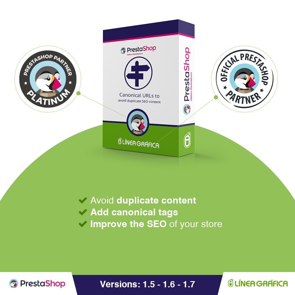 canonical-seo-urls-google-hreflang-pro[1].jpg